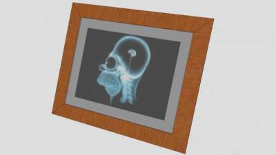 现代X光有趣头像挂画SU模型下载_sketchup草图大师SKP模型