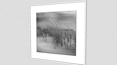 黑白风景摄影相框SU模型下载_sketchup草图大师SKP模型