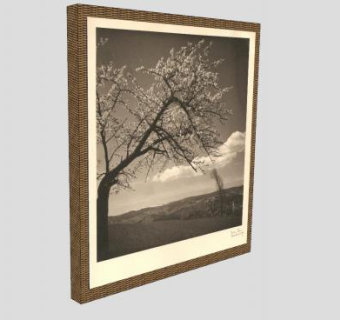 樱花风景摄影老照片相框SU模型下载_sketchup草图大师SKP模型