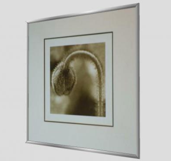 生态摄影微拍挂画SU模型下载_sketchup草图大师SKP模型