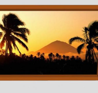 落日下的棕榈树摄影相框SU模型下载_sketchup草图大师SKP模型