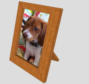 狗狗写实摄影相框SU模型下载_sketchup草图大师SKP模型