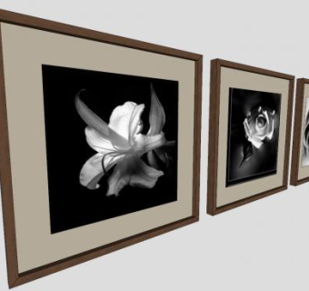 玫瑰摄影三联挂画SU模型下载_sketchup草图大师SKP模型