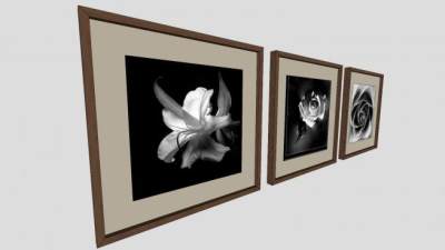 玫瑰摄影三联挂画SU模型下载_sketchup草图大师SKP模型