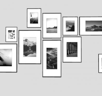 生态黑白摄影装饰画系列SU模型下载_sketchup草图大师SKP模型