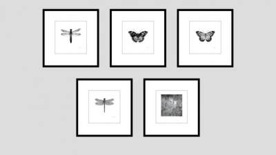 昆虫装饰画系列SU模型下载_sketchup草图大师SKP模型