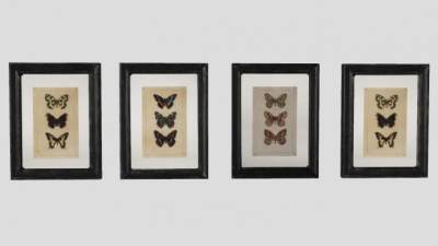 蝴蝶昆虫相框挂画SU模型下载_sketchup草图大师SKP模型