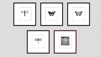 蝴蝶蜻蜓昆虫装饰画SU模型下载_sketchup草图大师SKP模型