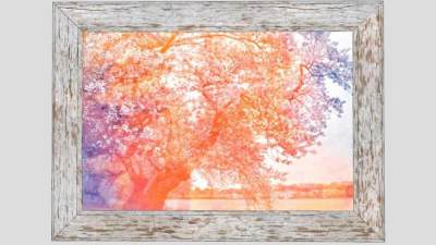 画树彩绘装饰画SU模型下载_sketchup草图大师SKP模型