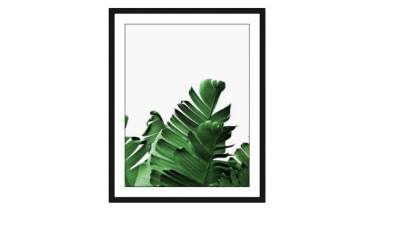 棕榈叶简约挂画SU模型下载_sketchup草图大师SKP模型