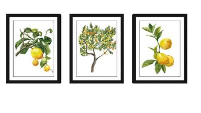 柠檬树三联装饰画SU模型下载_sketchup草图大师SKP模型