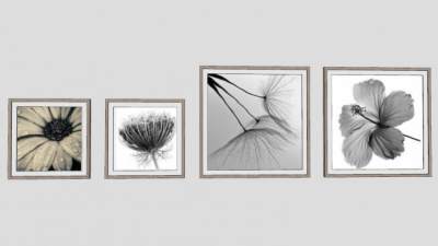 花朵摄影装饰画SU模型下载_sketchup草图大师SKP模型