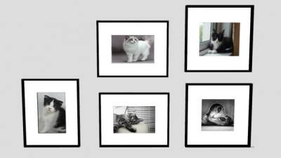 猫咪萌照摄影挂画SU模型下载_sketchup草图大师SKP模型
