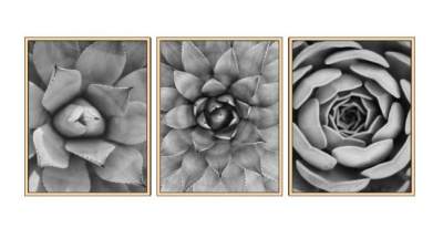 花朵摄影三联挂画SU模型下载_sketchup草图大师SKP模型