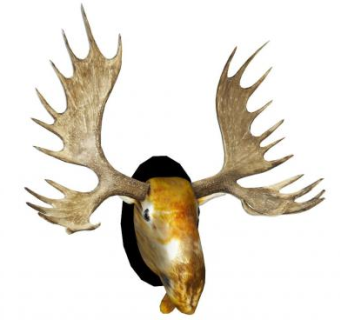 鹿角装饰墙饰SU模型下载_sketchup草图大师SKP模型