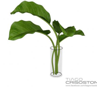 玻璃花瓶器皿插叶装饰摆件下载_sketchup草图大师SKP模型