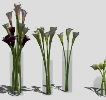 马蹄莲玻璃花瓶SU模型下载_sketchup草图大师SKP模型