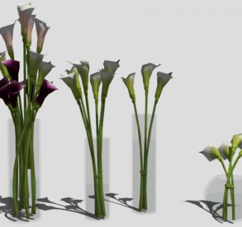 玻璃花瓶器皿马蹄莲装饰SU模型下载_sketchup草图大师SKP模型