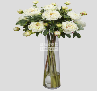 圆柱玻璃花瓶白牡丹花卉SU模型下载_sketchup草图大师SKP模型