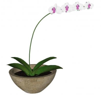 砂岩石观赏花盆植物SU模型下载_sketchup草图大师SKP模型