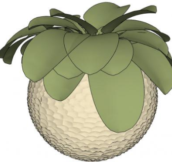 有叶植物的花瓶器皿SU模型下载_sketchup草图大师SKP模型