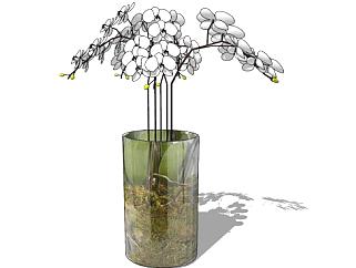 现代圆柱彩色玻璃花瓶和人造兰花SU模型下载_sketchup...