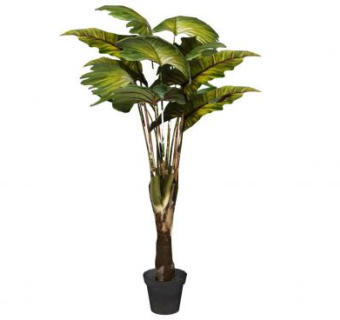 室内外热带雨林绿色植物盆栽SU模型下载_sketchup草图大师SKP模型