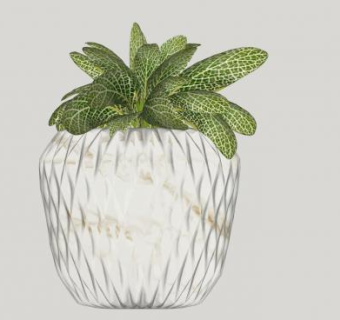 现代陶瓷花盆盆栽室内摆件SU模型下载_sketchup草图大师SKP模型