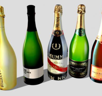 香槟酒瓶酒水系列SU模型下载_sketchup草图大师SKP模型