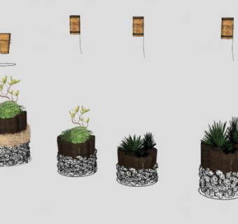 酒瓶盆栽蕨类植物SU模型下载_sketchup草图大师SKP模型