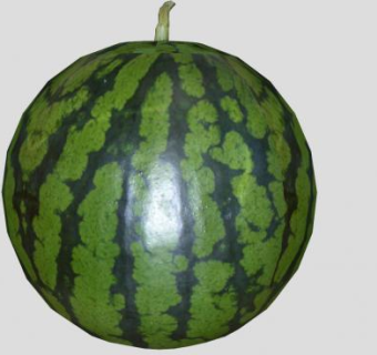 多汁西瓜水果SU模型下载_sketchup草图大师SKP模型