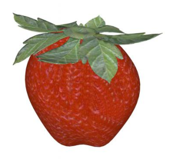 草莓水果草本植物SU模型下载_sketchup草图大师SKP模型