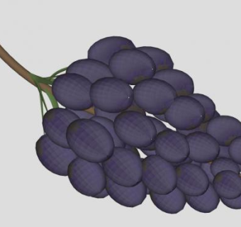 紫色葡萄水果SU模型下载_sketchup草图大师SKP模型