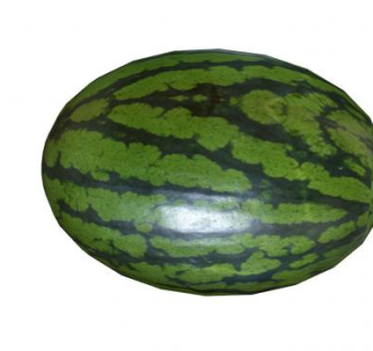 椭圆形西瓜水果SU模型下载_sketchup草图大师SKP模型