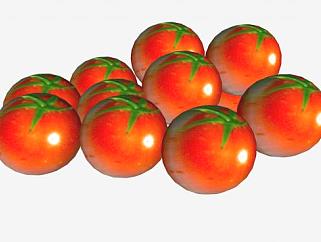 11个西红柿<em>蔬菜SU模型</em>下载_sketchup草图大师SKP模型