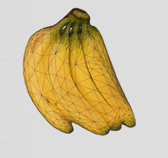 黄皮香蕉水果SU模型下载_sketchup草图大师SKP模型