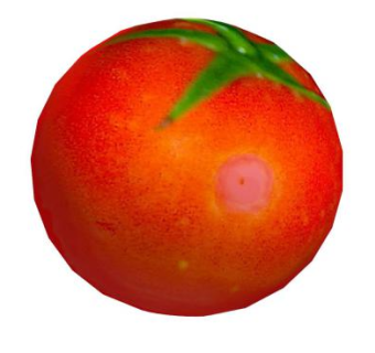 一颗红色番茄SU模型下载_sketchup草图大师SKP模型