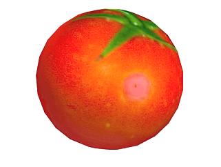一颗红色番茄SU模型下载_sketchup草图大师SKP模型