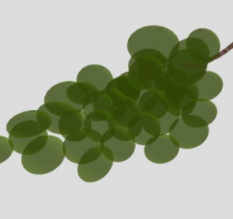 一串葡萄水果SU模型下载_sketchup草图大师SKP模型