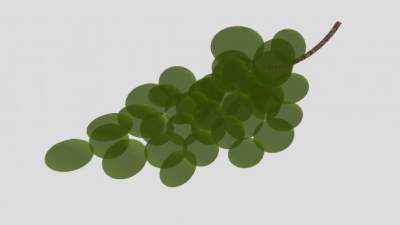 一串葡萄水果SU模型下载_sketchup草图大师SKP模型