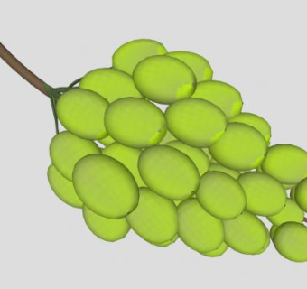 一串绿色的葡萄SU模型下载_sketchup草图大师SKP模型