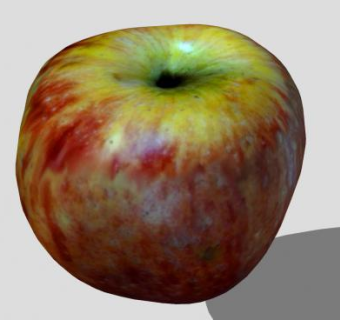 逼真纹理苹果水果SU模型下载_sketchup草图大师SKP模型