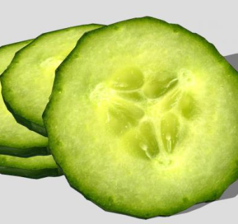 切片的蔬菜黄瓜SU模型下载_sketchup草图大师SKP模型