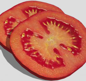 切片的西红柿SU模型下载_sketchup草图大师SKP模型