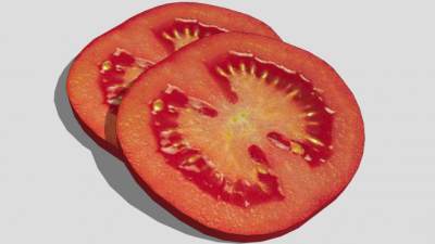 切片的西红柿SU模型下载_sketchup草图大师SKP模型