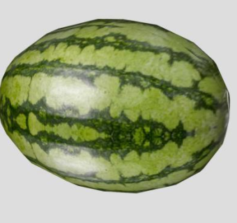 一颗大西瓜水果SU模型下载_sketchup草图大师SKP模型