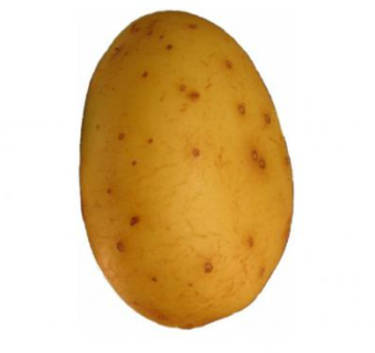 一颗土豆蔬菜SU模型下载_sketchup草图大师SKP模型