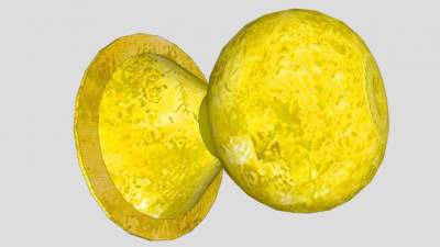 金属金色门把手SU模型下载_sketchup草图大师SKP模型