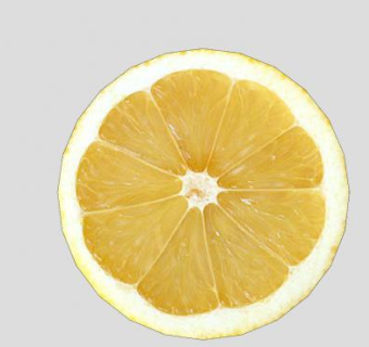 水果柠檬片SU模型下载_sketchup草图大师SKP模型