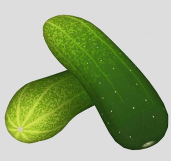 两条蔬菜黄瓜SU模型下载_sketchup草图大师SKP模型
